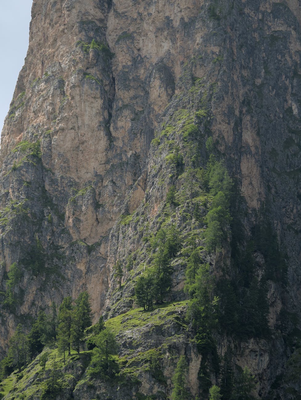 Monte Sirai Details
